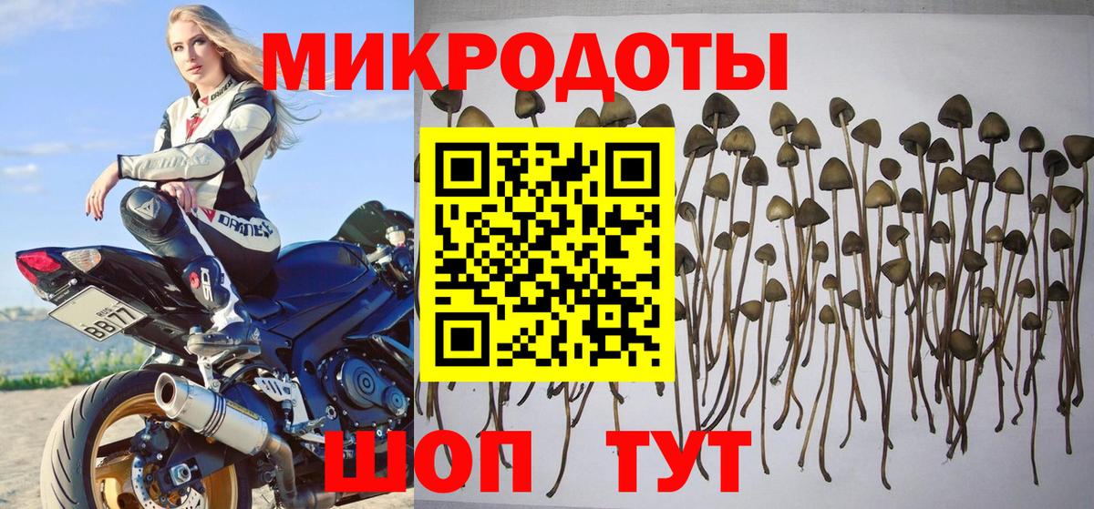 где можно купить   Псилоцибиновые грибы Cubensis  Вход с VPN  Первоуральск 