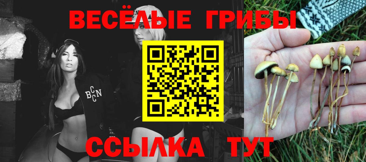 Псилоцибиновые грибы GOLDEN TEACHER Первоуральск